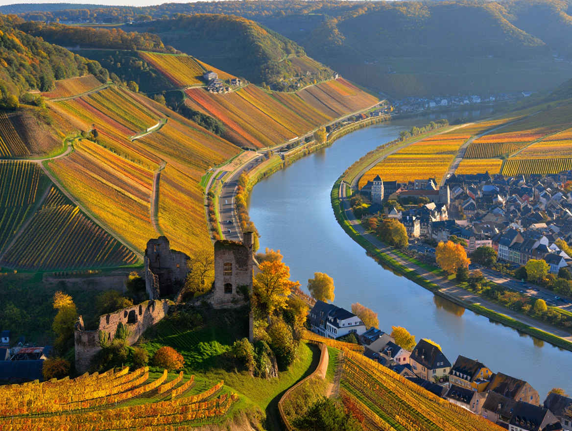 Moseldorf mit Weinbergen im Herbst, charakteristische Fachwerkhäuser spiegeln sich im ruhigen Fluss